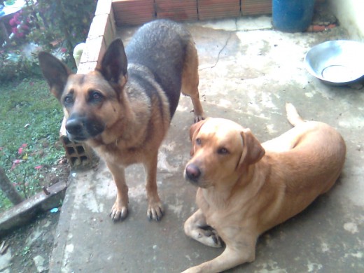 Yo junto con mi amigo rufo en la fink